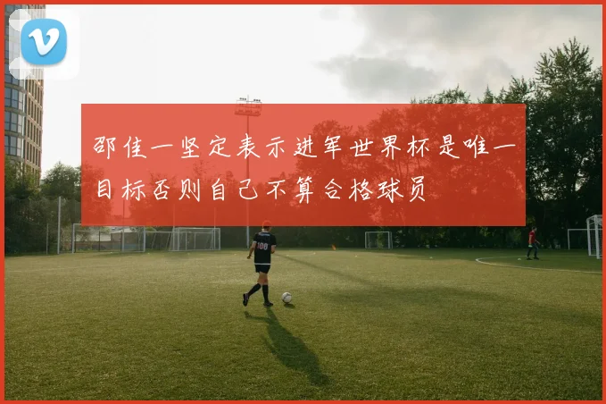 邵佳一坚定表示进军世界杯是唯一目标否则自己不算合格球员
