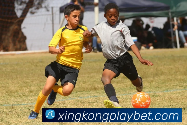 星空体育平台生态图