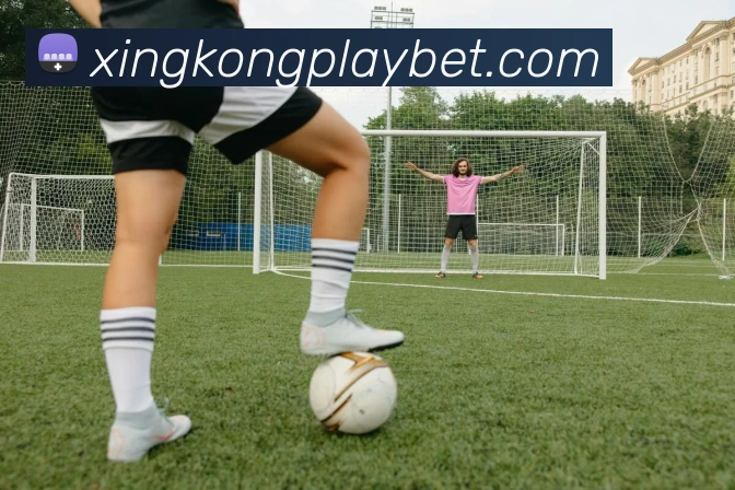 星空体育APP 封面图