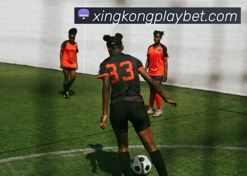 数据防护可视化